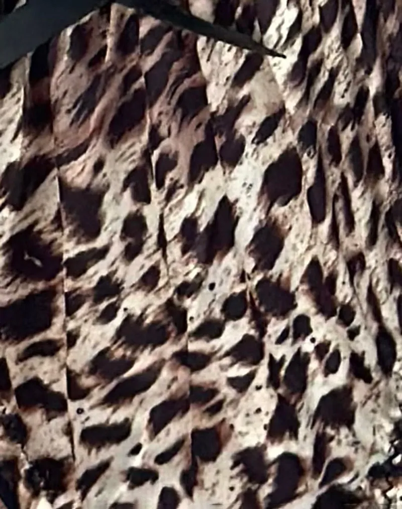 Adrienne Thong in Leopard Print