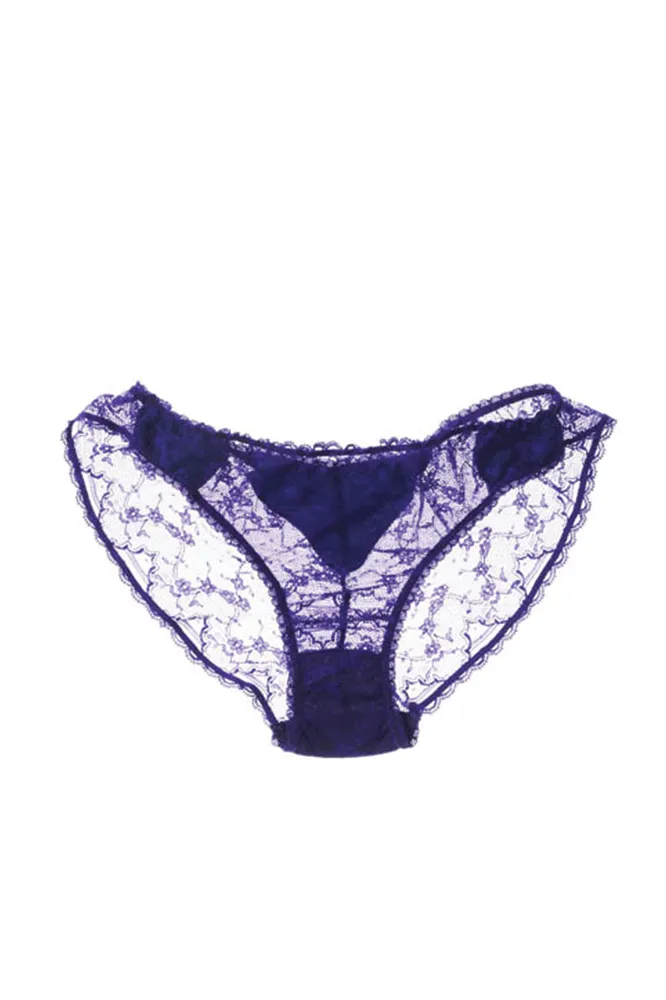 Poppet Brief